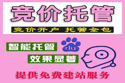 企业SEM优化托管实战案例